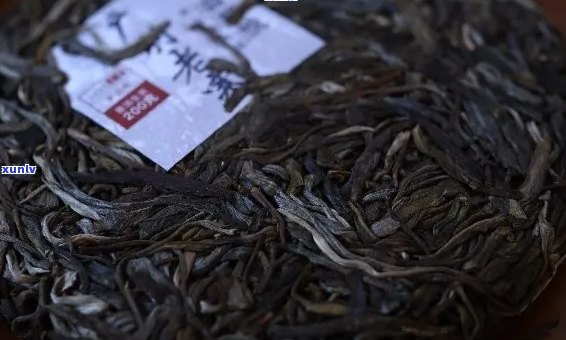 下关普洱茶标杆产品：全面解析品质、工艺与口感，助您轻松选购优质茶叶