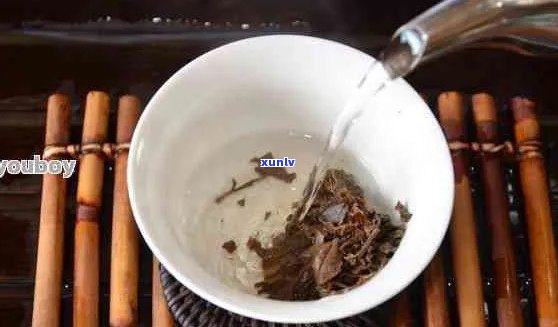 普洱生茶泡法与冲泡技巧：每克茶叶的泡水量及口感体验详解