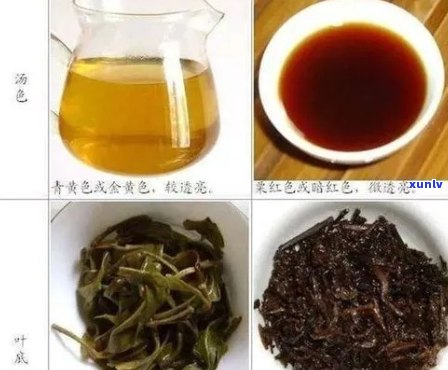 普洱茶晒后的转变：颜色、味道和功效的全方位解析