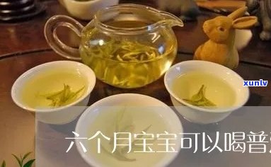 八个月宝宝是否可以喝普洱茶？普洱茶对婴儿的影响与注意事项解析