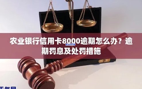 农业银行信用卡8000逾期：后果、处理 *** 与利息计算