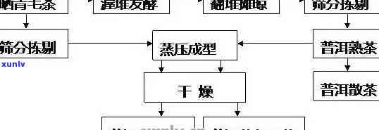 新第三代普洱茶发酵工艺技术在应用与创新中的独特价值