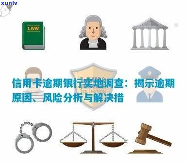 信用卡逾期调查的目的与用途：了解详情、预防风险及寻求解决方案