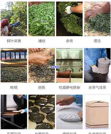 村福记茶：精选普洱茶叶，传承古法 *** ，打造品质生活