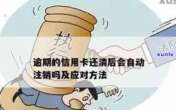 信用卡逾期还款后如何处理？销户是否可行？解答用户关心的问题