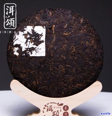 洱颂普洱茶饼怎么做