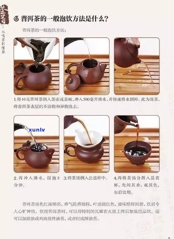 普洱茶500g:选择、品质、冲泡与品鉴全方位指南