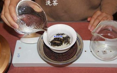 同一壶冲生熟普洱茶