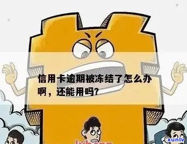 信用卡逾期冻结资金问题解决方式