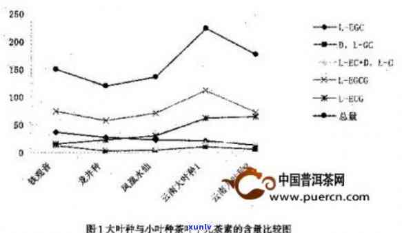 全面分析：八达山普洱茶中的重金属含量及其对人体健的影响