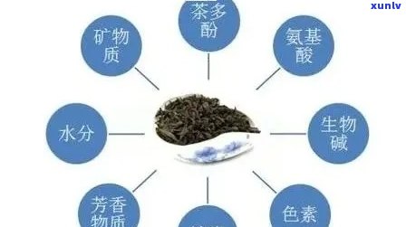 全面分析：八达山普洱茶中的重金属含量及其对人体健的影响