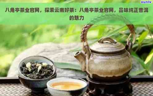 八角亭普洱茶叶网：探索普洱茶的世界，提升知名度与品质