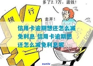 信用卡逾期还款策略：如何减少利息支出并避免逾期影响