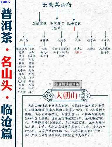 普洱茶六大茶山大曼全面指南：了解产地、品质与冲泡技巧