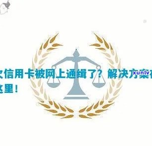 欠信用卡被网上通缉了怎么办？80万债务如何解决？