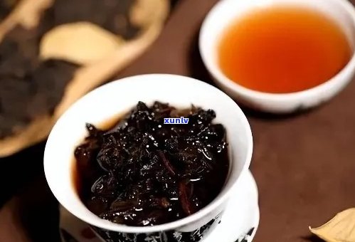 普洱茶能和啥一起冲泡：探索普洱茶的搭配秘