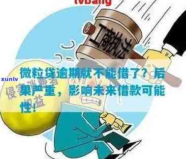 小微贷款逾期后果：不还会有哪些影响？