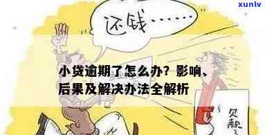 小微贷款逾期后果：不还会有哪些影响？