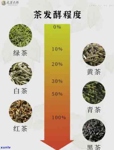 博友茶叶之旅：品茗指南、茶叶分类、泡茶技巧及茶叶健知识一应俱全