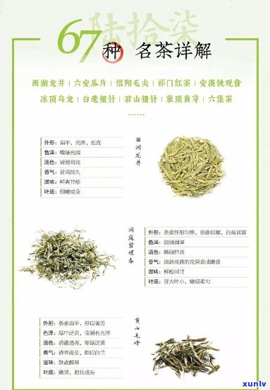 博友茶叶之旅：品茗指南、茶叶分类、泡茶技巧及茶叶健知识一应俱全