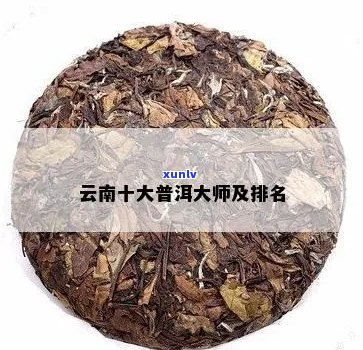 云南普洱茶十大名家