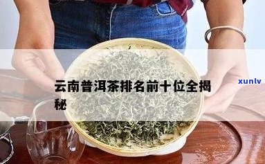 云南普洱茶十大名家