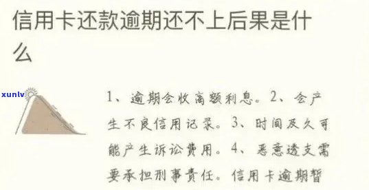 新信用卡逾期还款问题解决指南：如何撰写有力理由及原因说明