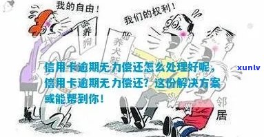 '信用卡逾期无力偿还理由分析及相关处理建议'