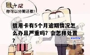 信用卡逾期5种情况怎么处理？