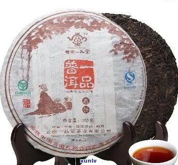 百年普洱茶之味：一品测评深度探索