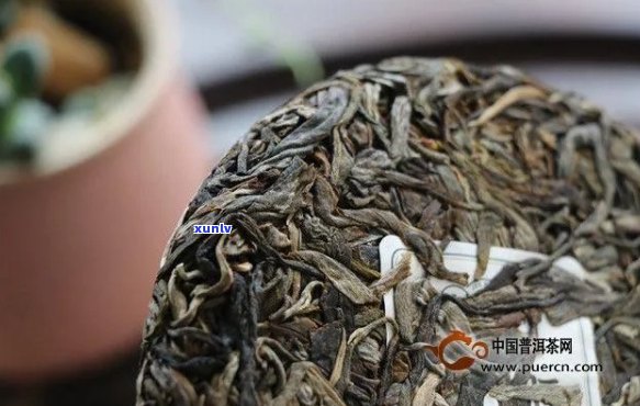 五寨普洱茶中的老班章：价格与口感的完美融合