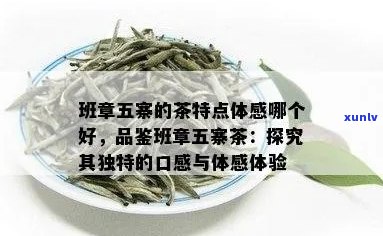 班章五寨茶特点口感：醇厚、回，体感惊艳，哪个好？