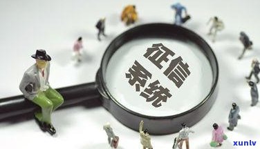 应对逾期房贷及信用卡问题的有效策略与实践经验