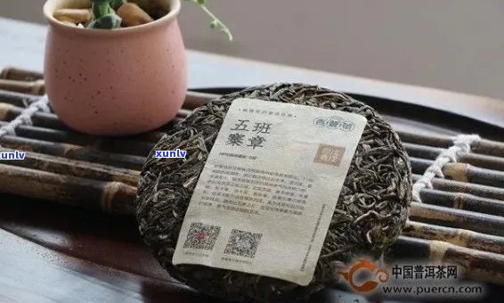 五寨熟茶的品鉴、 *** 工艺及存 *** 全解：班章五寨熟茶详细指南