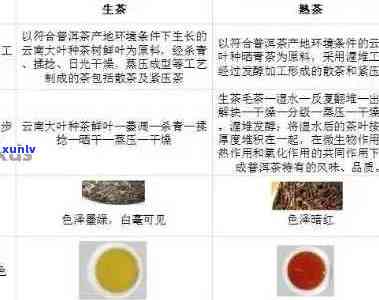 普洱双胞胎：一对孪生兄弟的传奇故事、茶叶品质对比、品饮技巧与鉴指南