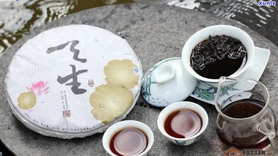 普洱茶的长期存：一年后是否还能饮用？