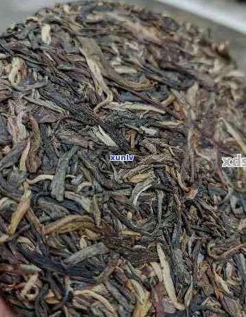 关于普洱茶价格和品质：90块一斤的普洱茶真的能喝吗？