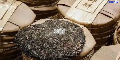 探索低价普洱茶：几十块钱一斤的茶叶品质如何？有哪些种类？