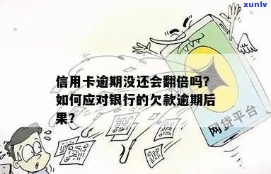 逾期信用卡经历：负债人生中的转折与反思