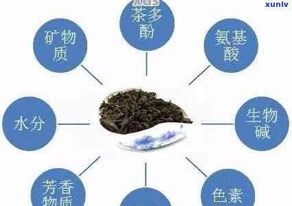 普洱茶甜感物质解析：探究普洱茶中的甜味来源