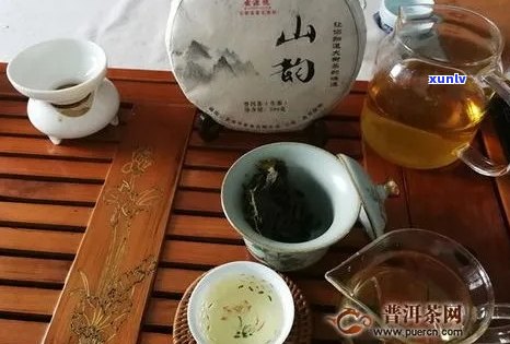 益咪号普洱茶官网：品质与口感并存，益民号和益茗号的评价如何？