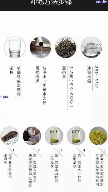 品茗普洱茶：从选购到冲泡的全方位指南，让你享受完美的泡茶体验