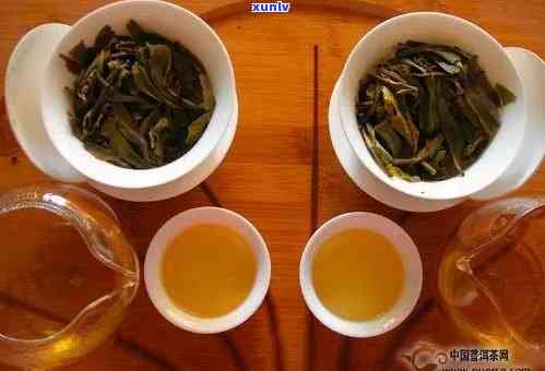 绿茶与普洱茶搭配食用的健益处：双重功效共谱新篇章