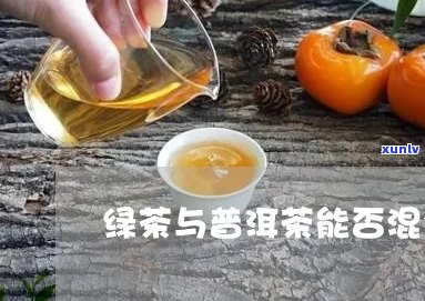 绿茶与普洱茶混合饮用的可能性及其对人体的影响