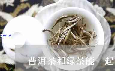 绿茶和普洱茶一起吃