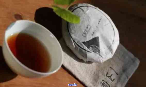 岁月沉淀的普洱古树茶：百年陈韵的独特魅力