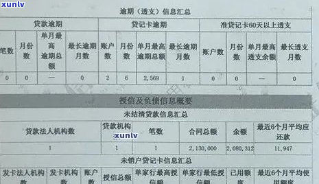 掌握信用报告：如何精准查询贷款和信用卡逾期记录