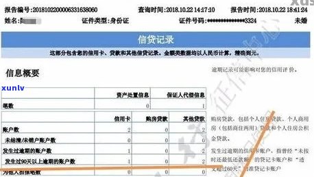 如何查询贷款逾期记录以及改善信用状况：一份全面指南