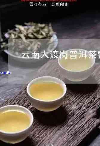 大渡岗普洱茶好不好-大渡岗普洱茶好不好喝