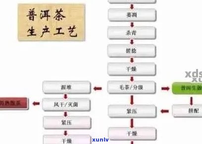 普洱茶章家三对：品种、 *** 工艺与品饮技巧的全面解析